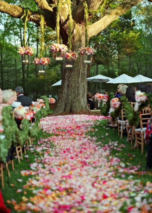 Diy outdoor spring wedding