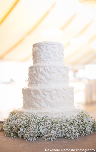 Such a beautiful simple wedding cake