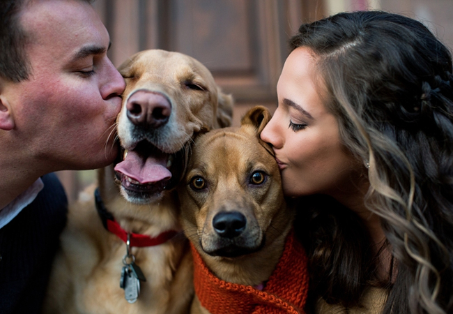 Dog engagement photo ideas