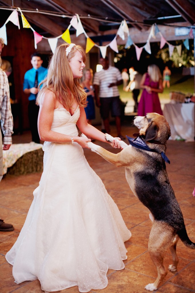 dogs wedding reception