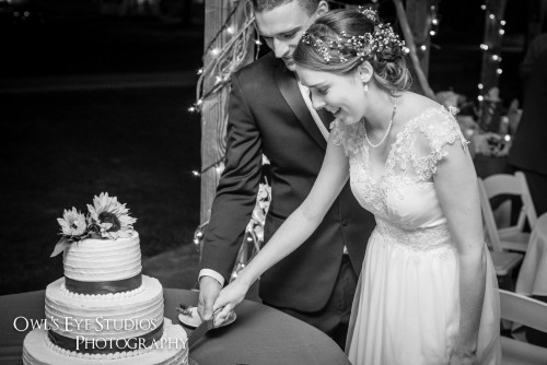 kingston, ny wedding video