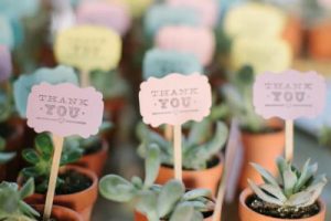 Succulent Wedding Favors 