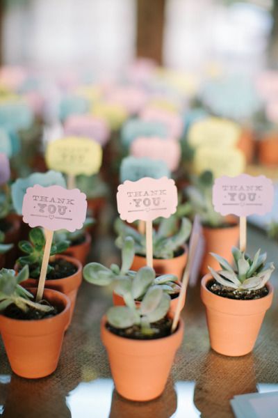 Succulent Wedding Favors 