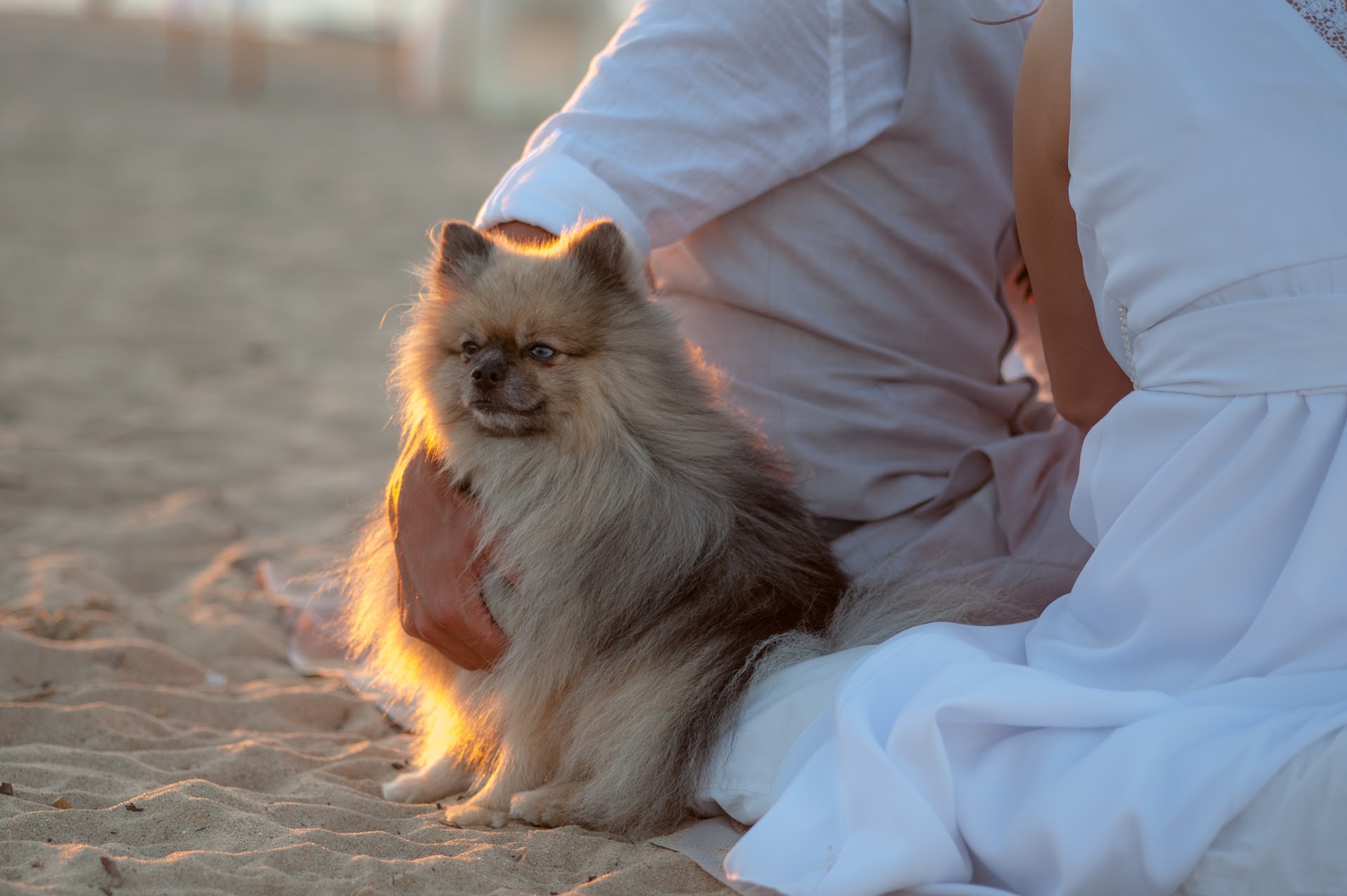 bride and groom wedding videography