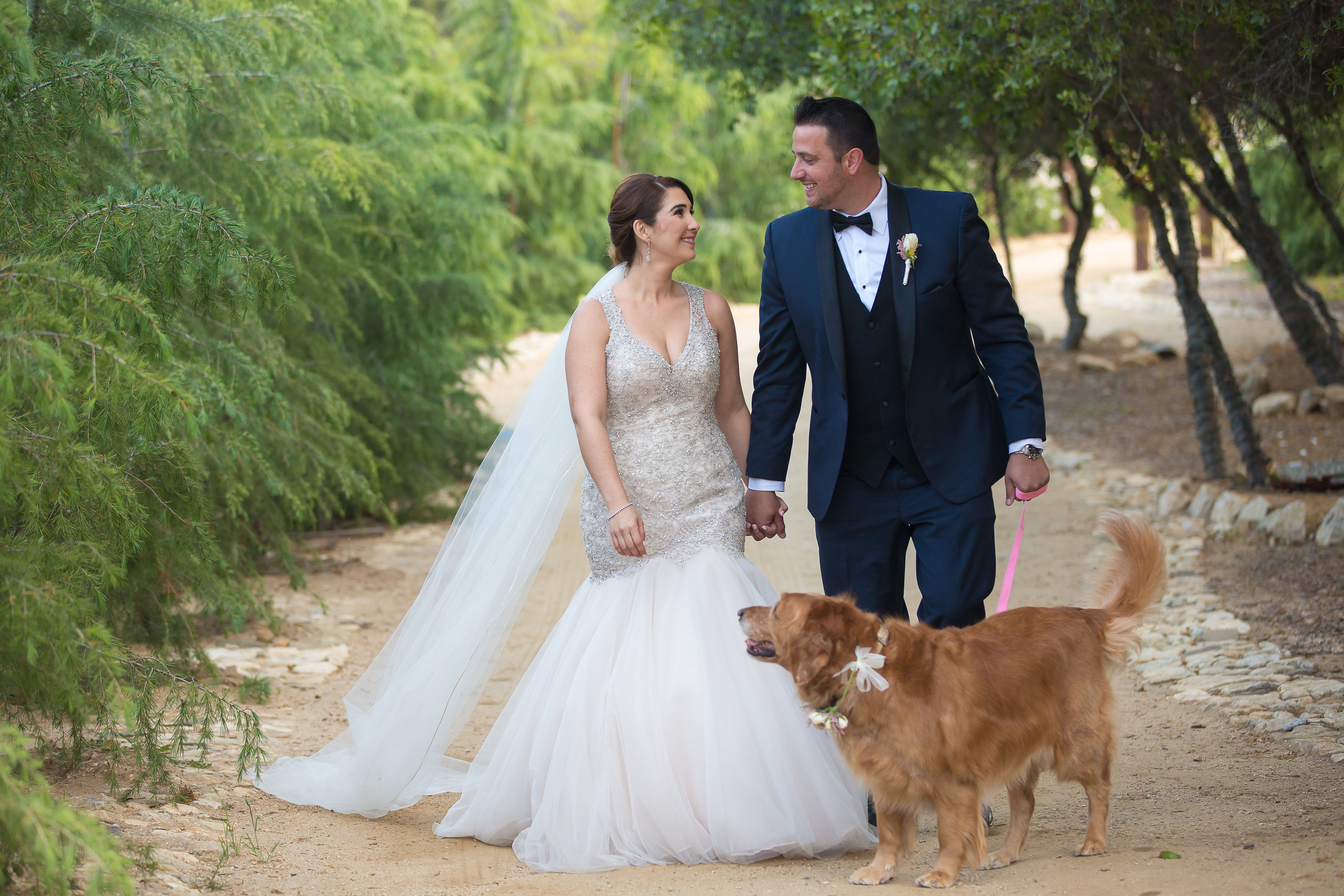 darlene and diego breathtaking wedding- with dog