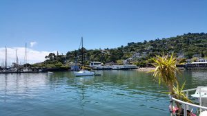 Sausalito wedding vido - Ocean View from Venue