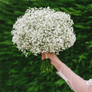 Summer Flower Bouquets - Gypsophila