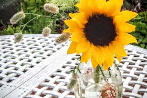 Stowe Vermont Wedding Centerpieces