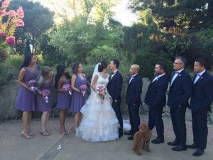 Sonoma Wedding Video - party