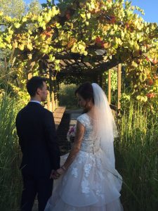 Sonoma Wedding Video - holding hands 