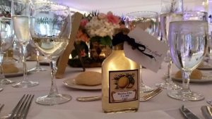 bretton woods wedding video