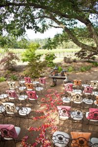 Outdoor Wedding Ideas